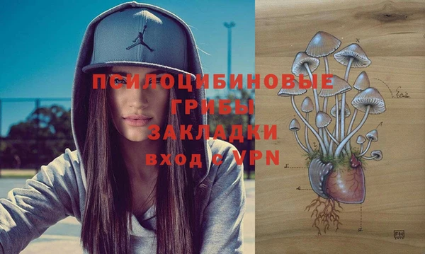 мдпв Волосово