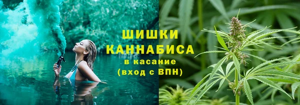 мдпв Волосово