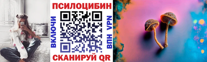 kraken   Заозёрный  Галлюциногенные грибы Magic Shrooms 